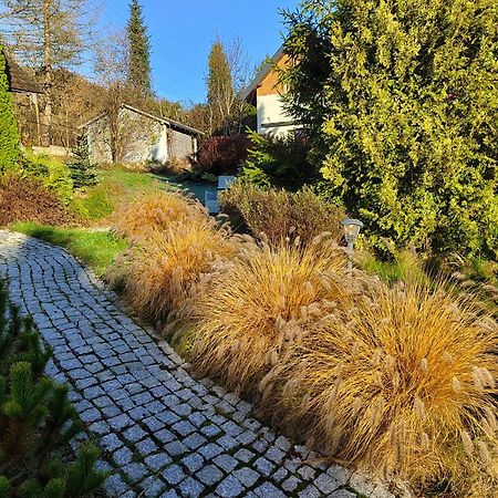 Beskid Ski Villa Wisla Ngoại thất bức ảnh