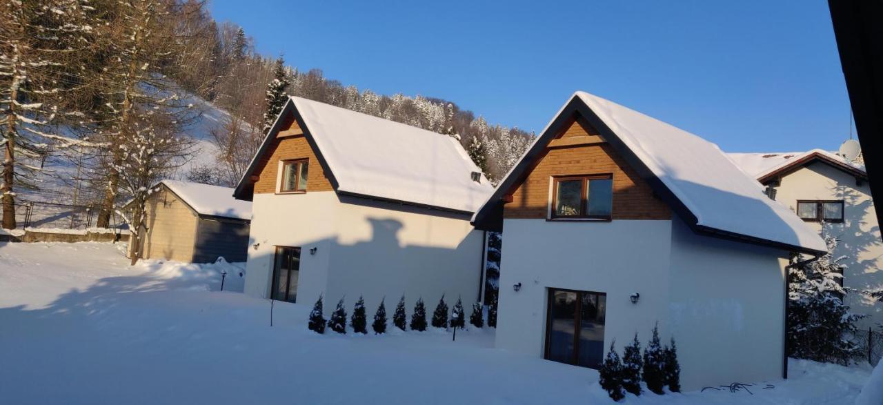 Beskid Ski Villa Wisla Ngoại thất bức ảnh