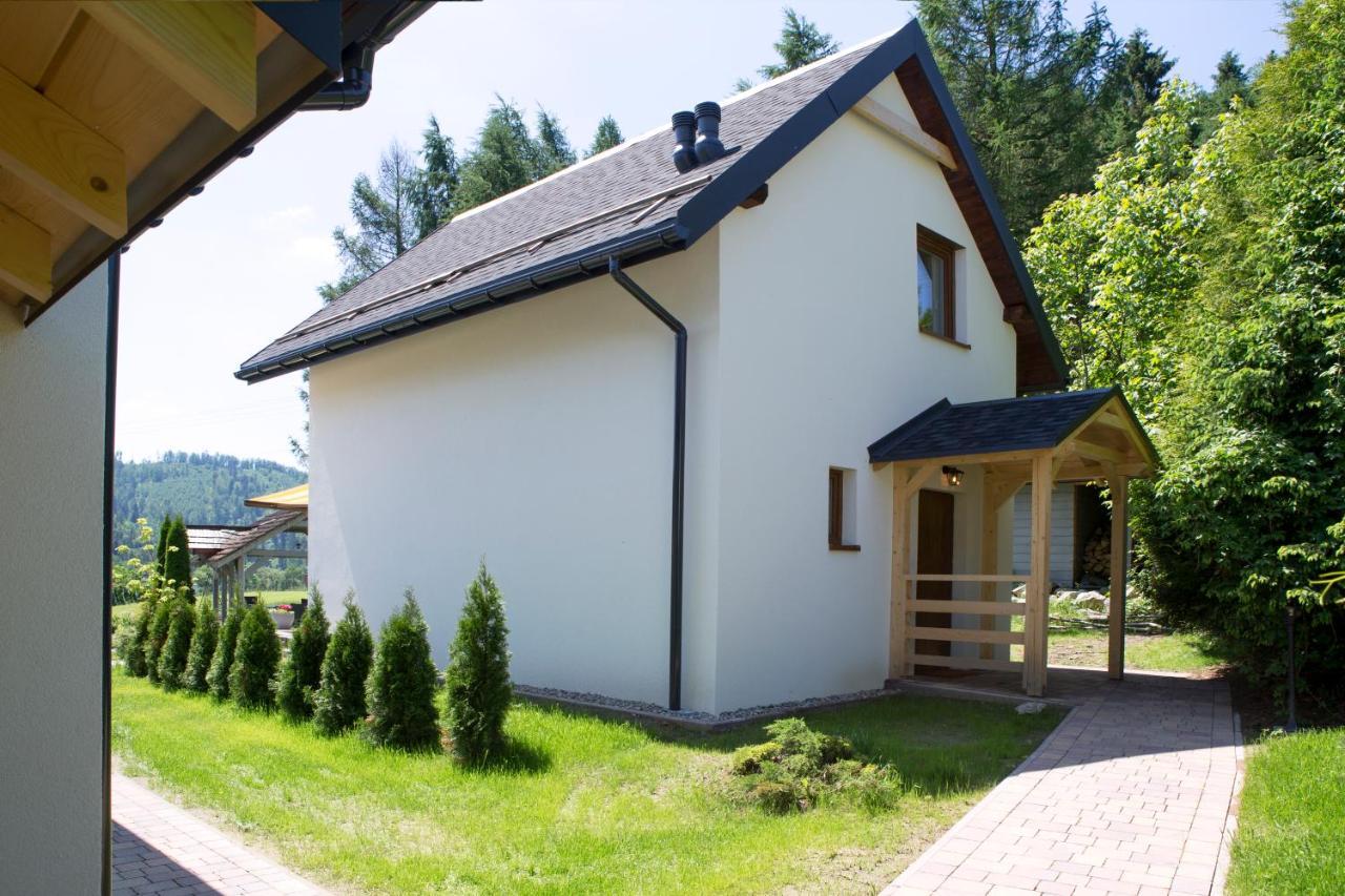 Beskid Ski Villa Wisla Ngoại thất bức ảnh