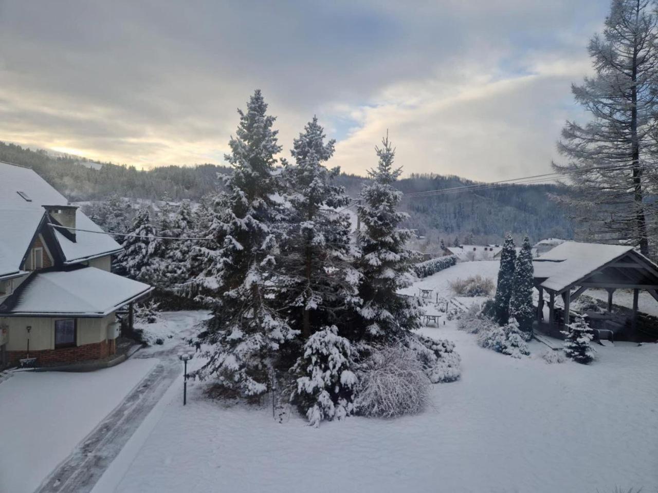 Beskid Ski Villa Wisla Ngoại thất bức ảnh