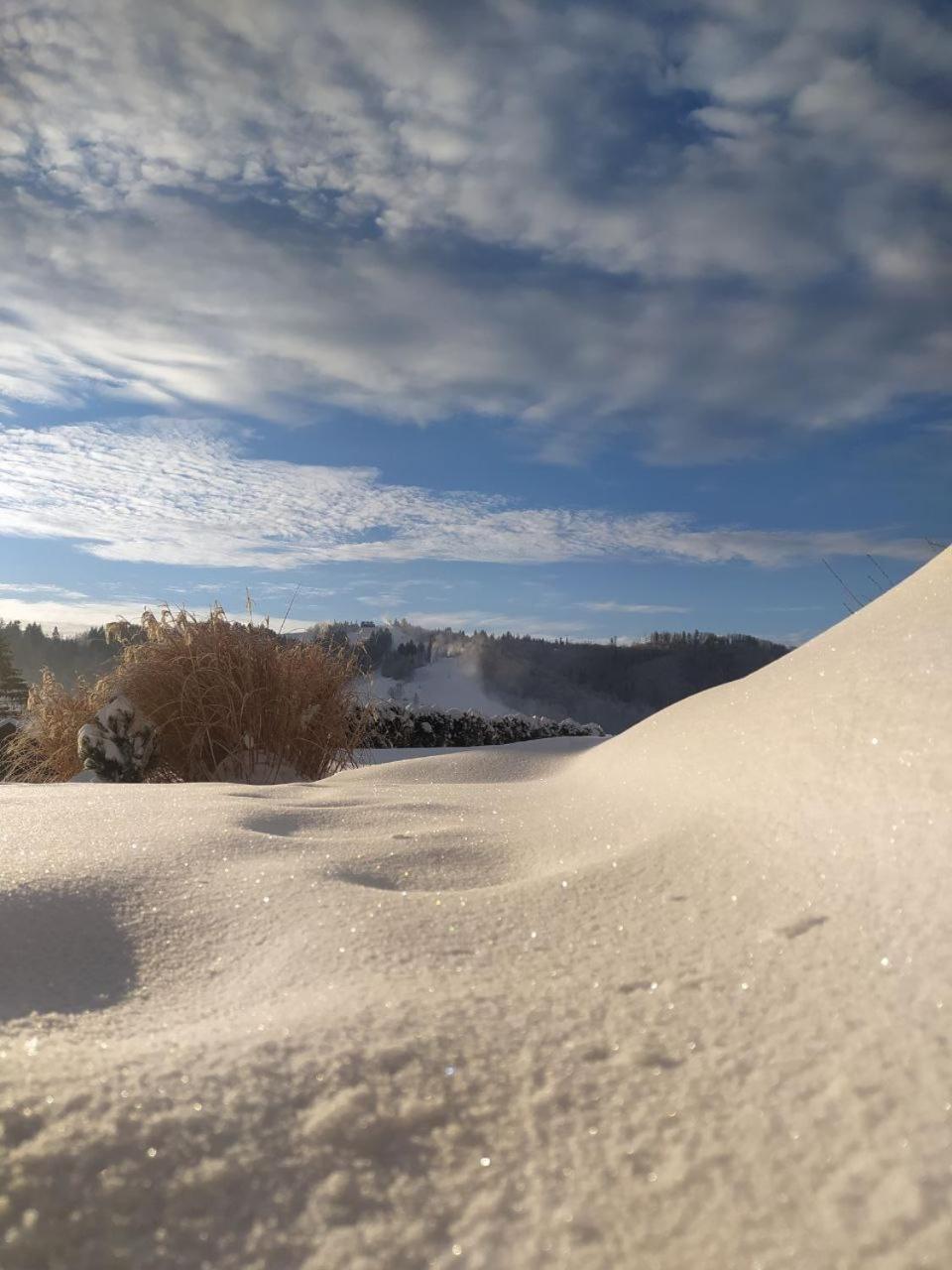 Beskid Ski Villa Wisla Ngoại thất bức ảnh